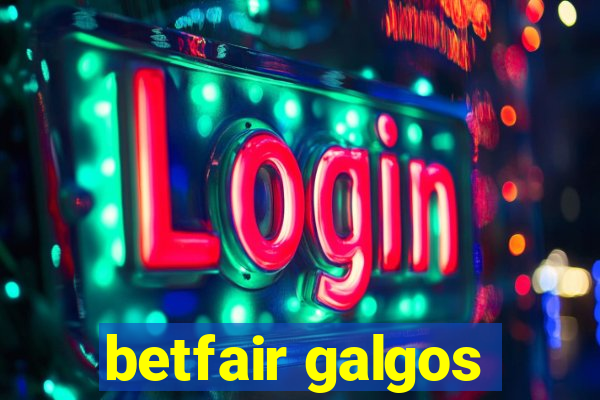 betfair galgos